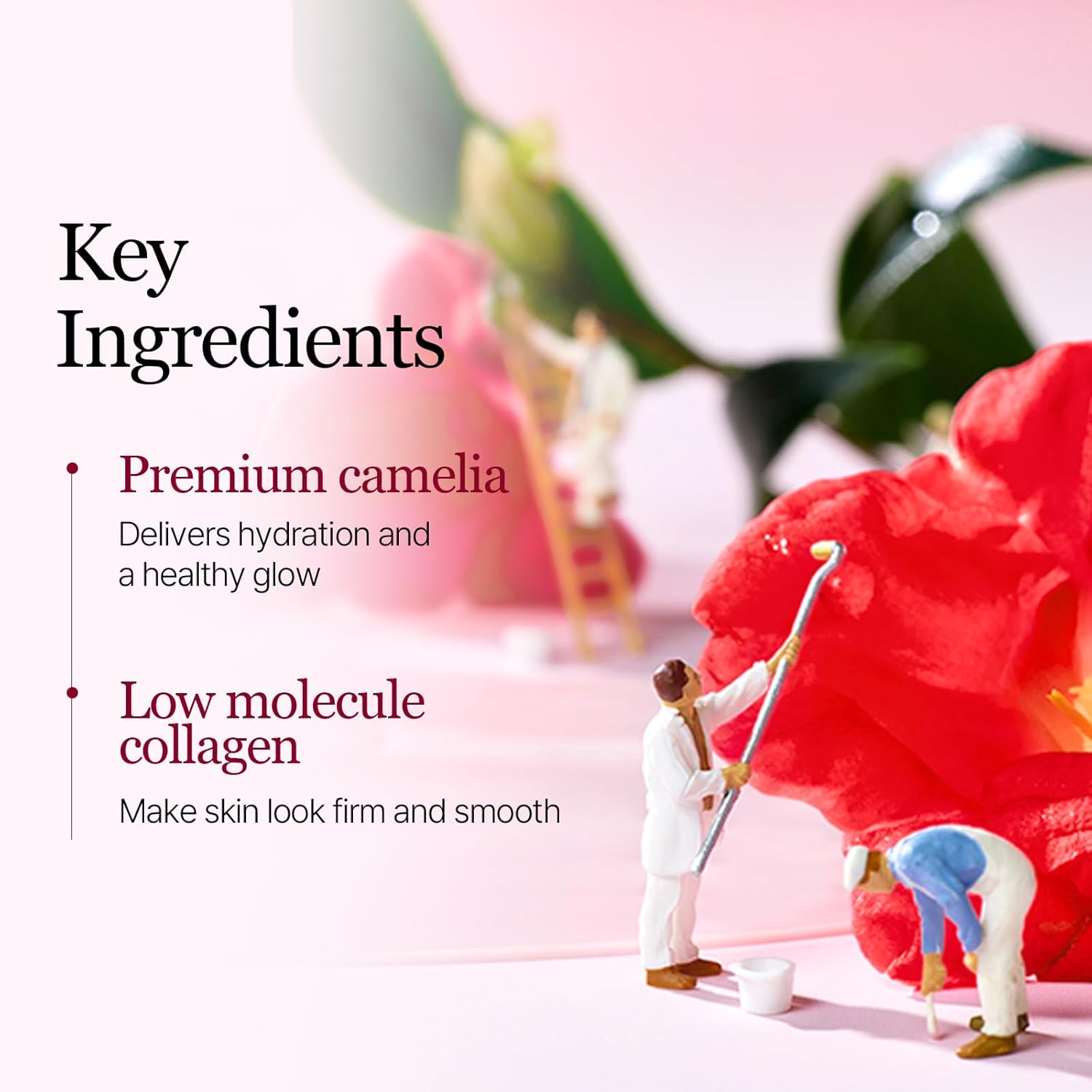 ROUND LAB  Camellia Deep Collagen Firming Gel Mask